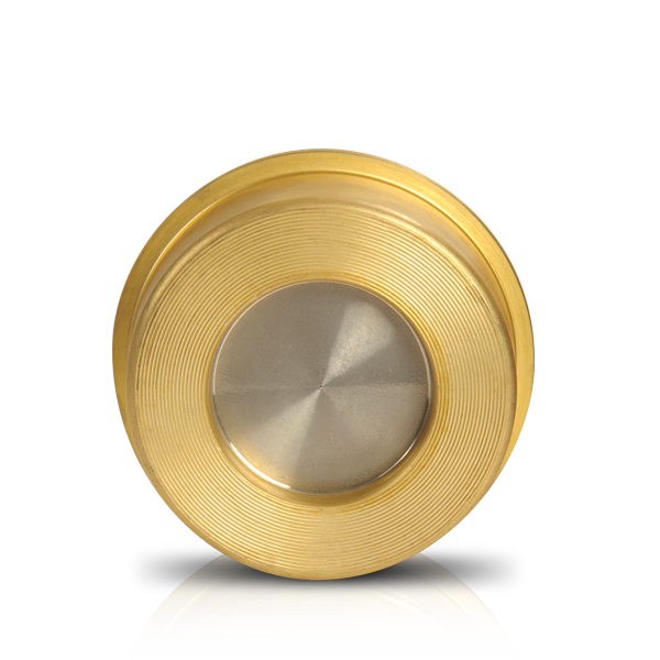 CV10/P CHECK VALVES