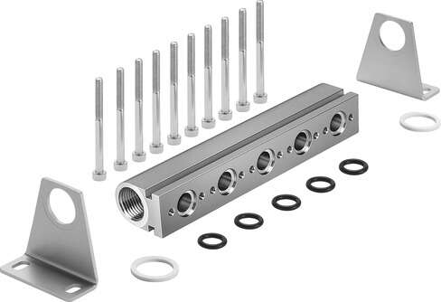 Common supply manifold