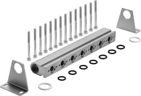Common supply manifold